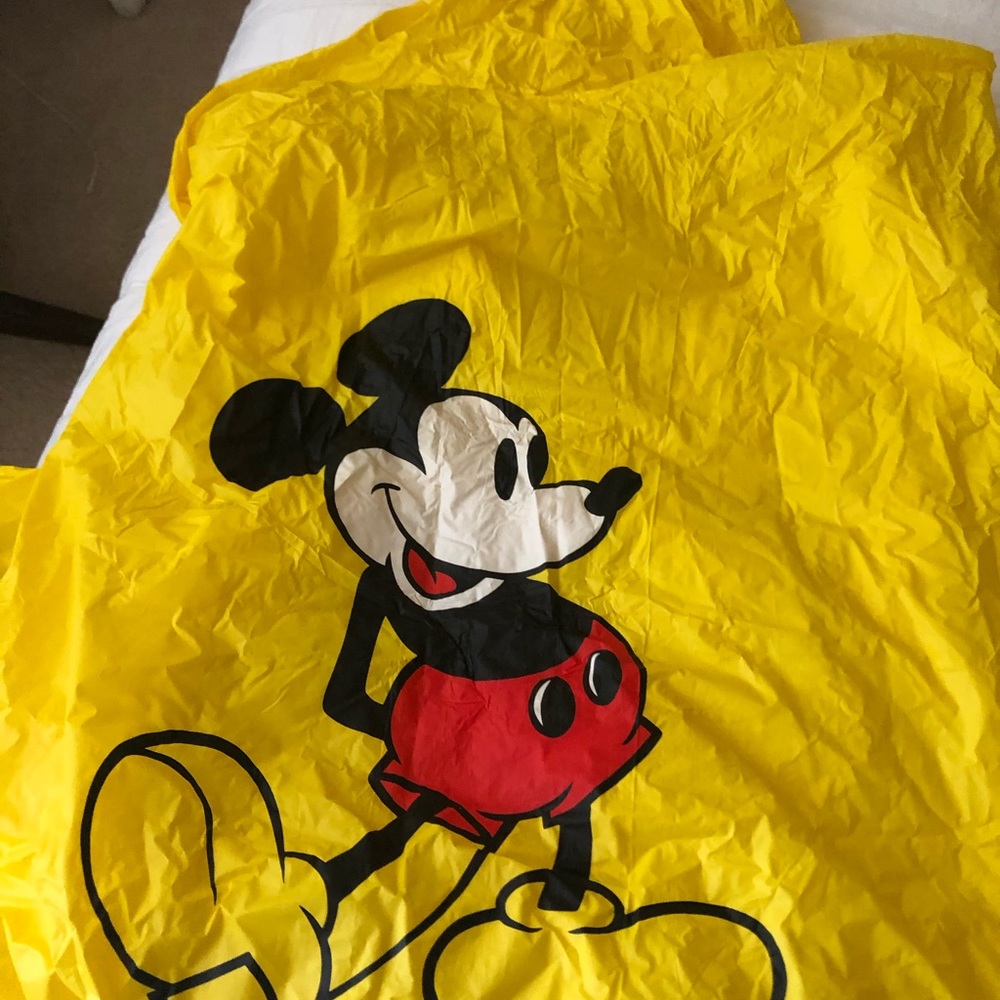 Disney ponchos